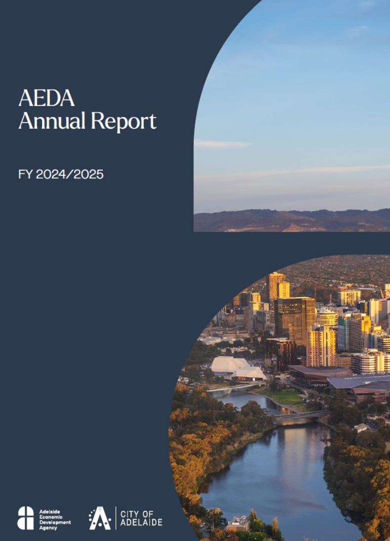 AEDA Annual report 2425 thumbnail