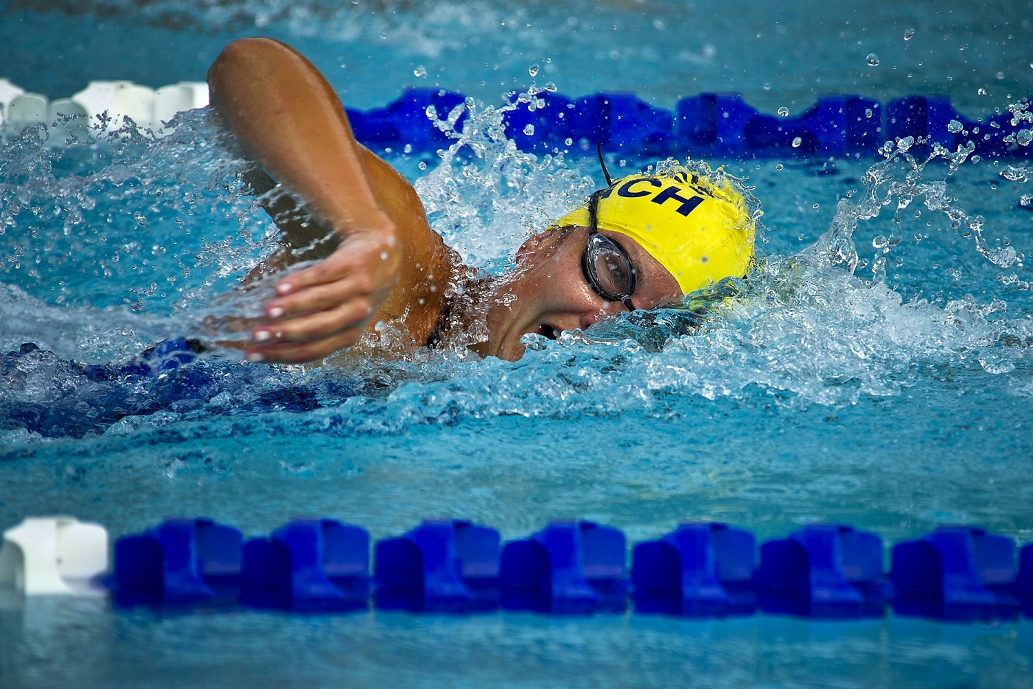 Adelaide Aquatic Centre 8 Tips To Make You A Faster Swimmer