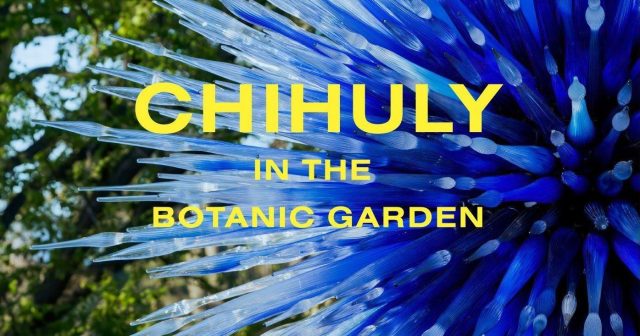 Chihuly in the Botanic Garden Shatters Attendance Records