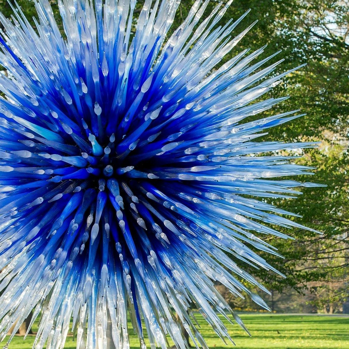 Chihuly in the Botanic Garden
