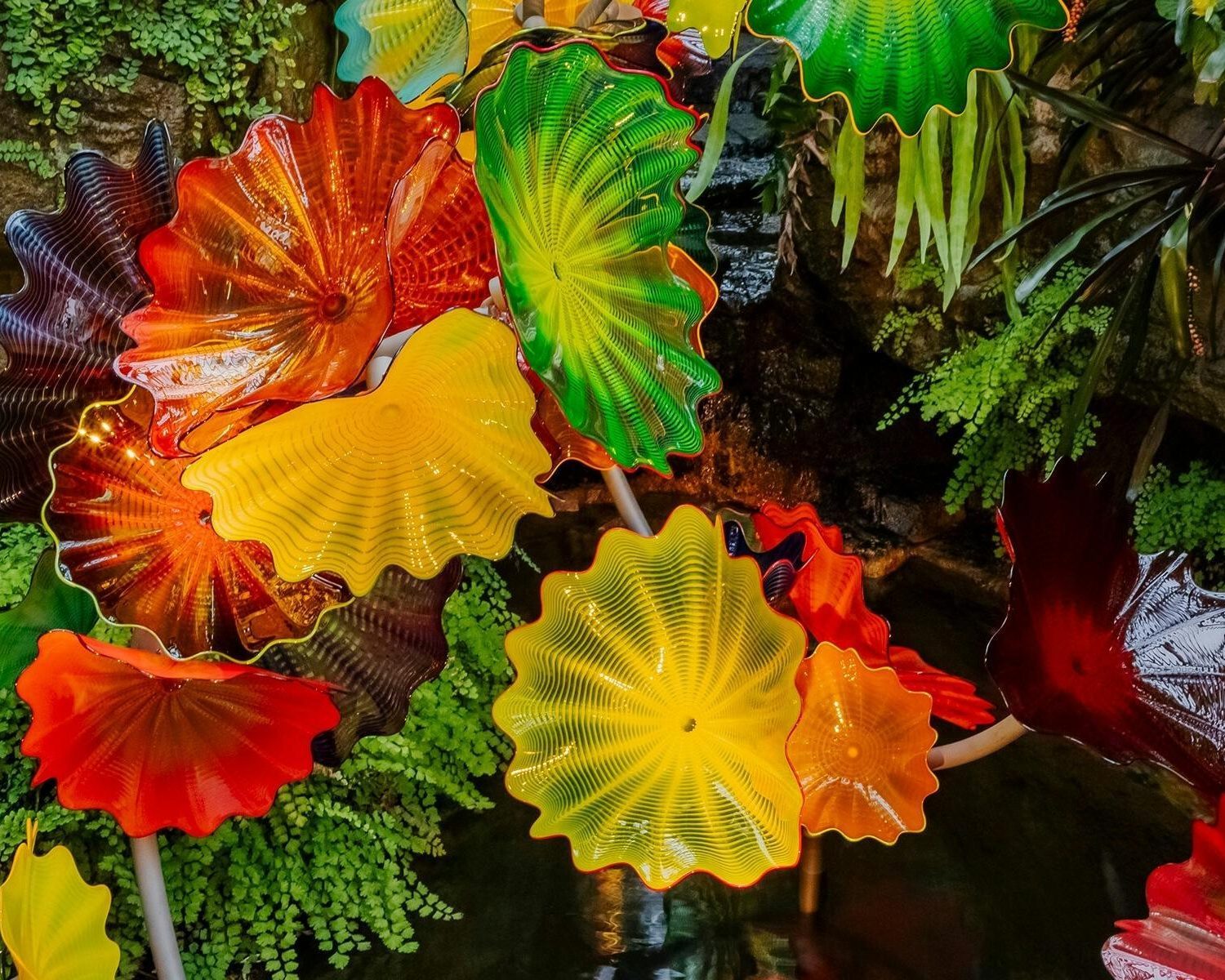 Chihuly