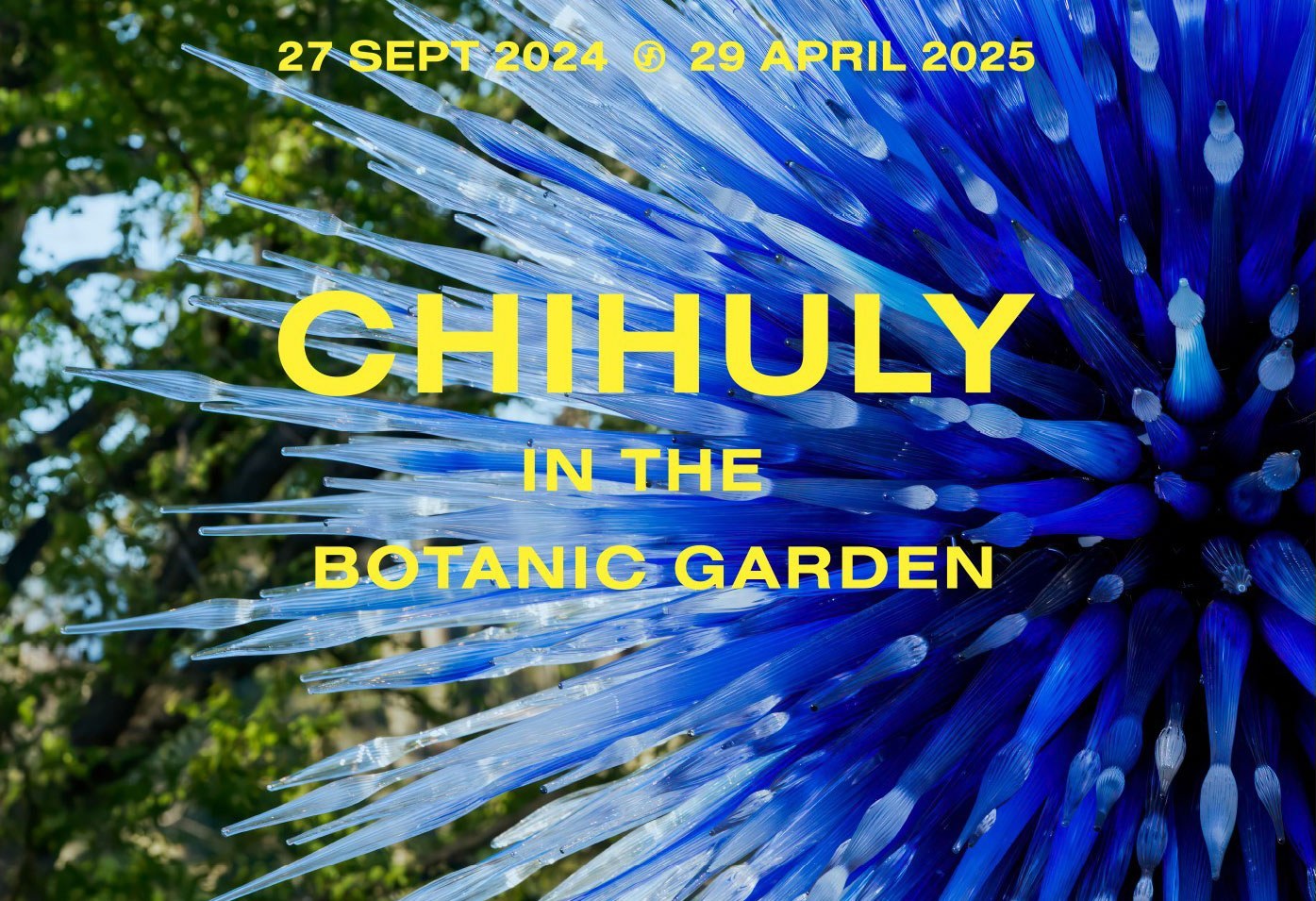 Chihuly
