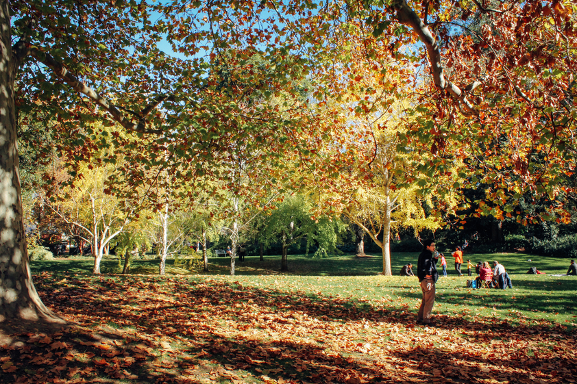 City's community partnerships | Mirage News - Vimarsana News