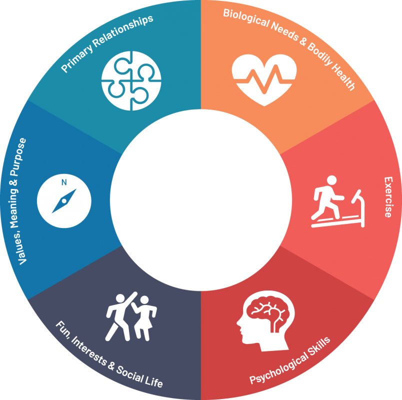 Healthy Minds Wellbeing Wheel