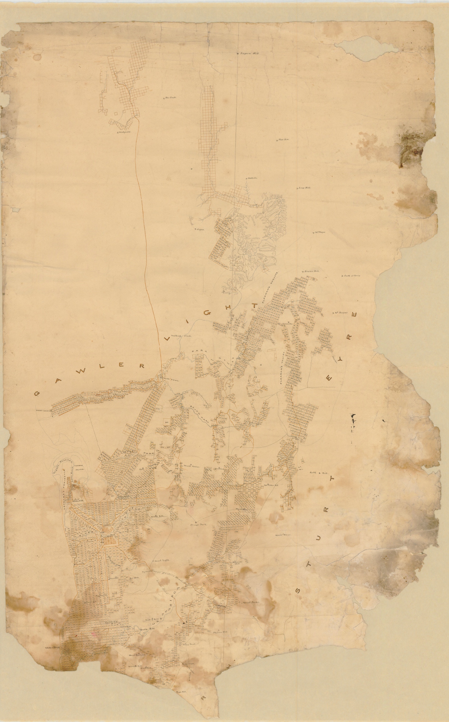 Experience Adelaide Adelaide