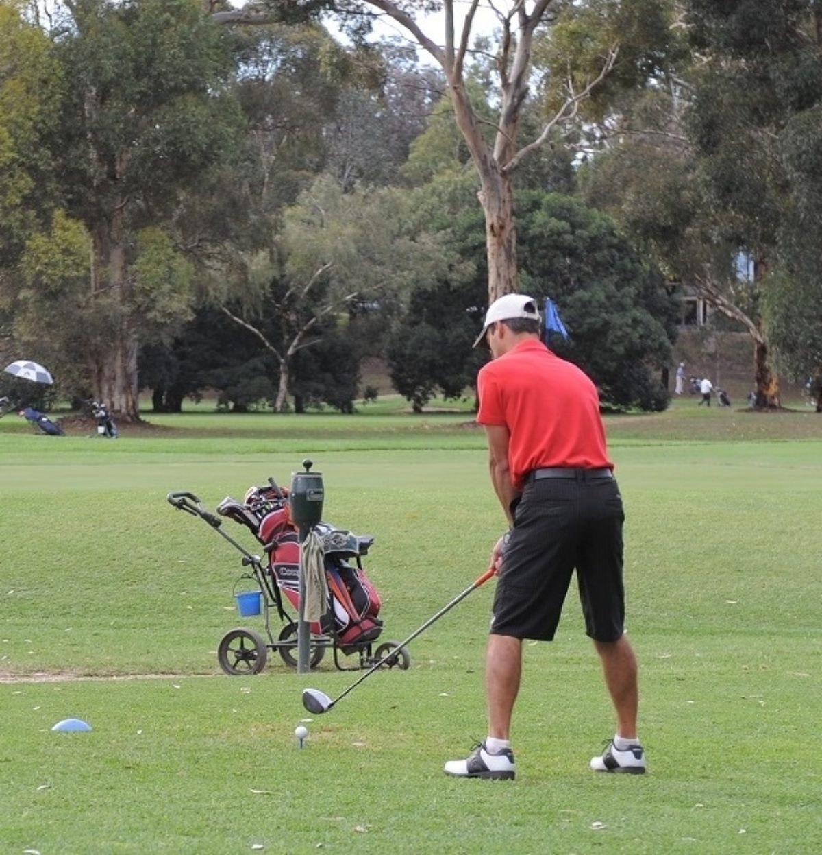 On course play
