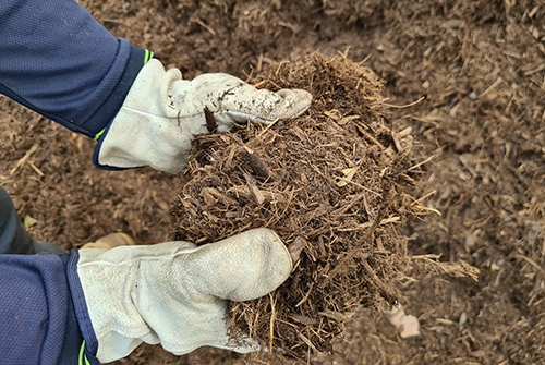 Park Lands Fine Mulch 2