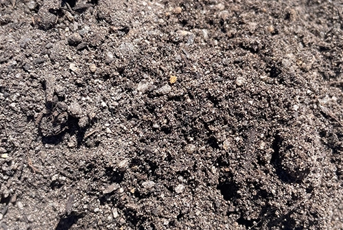 Park Lands Special Soil