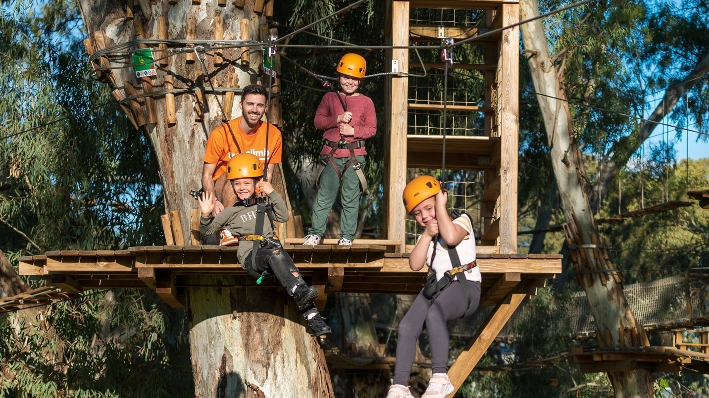 Tree Climb Adelaide Park Lands
