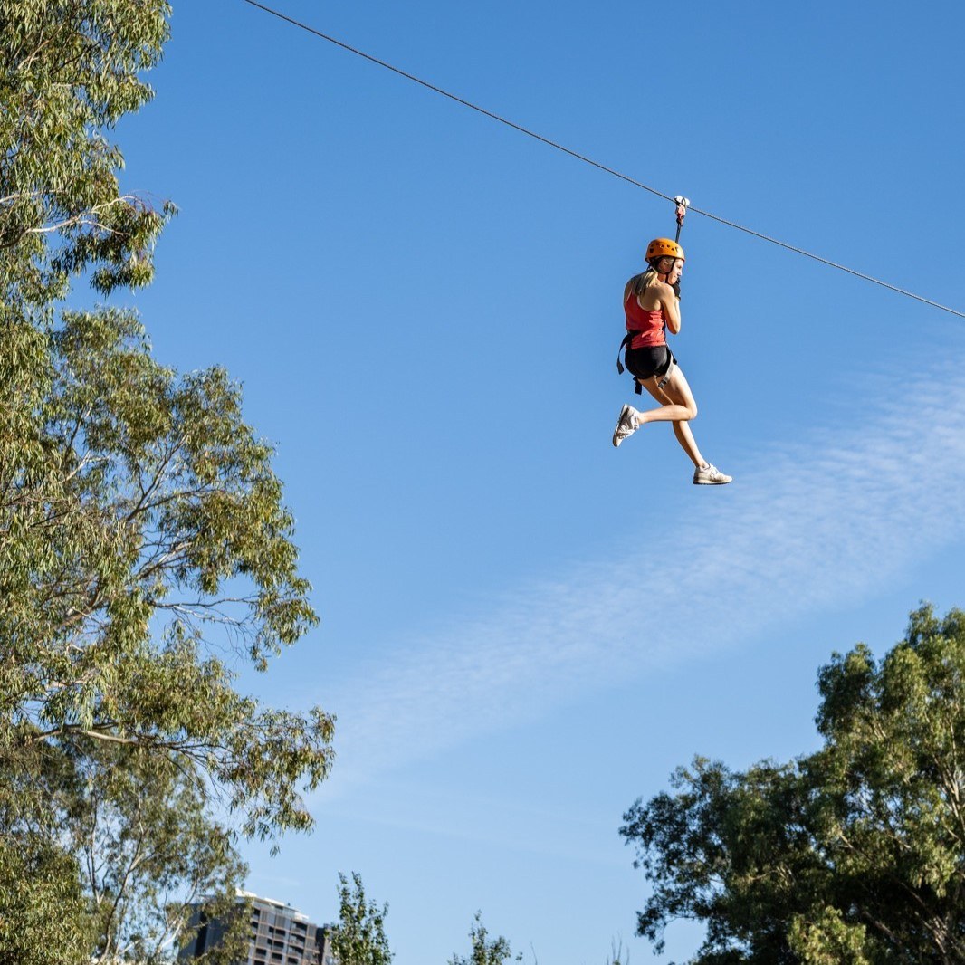 Tree Climb