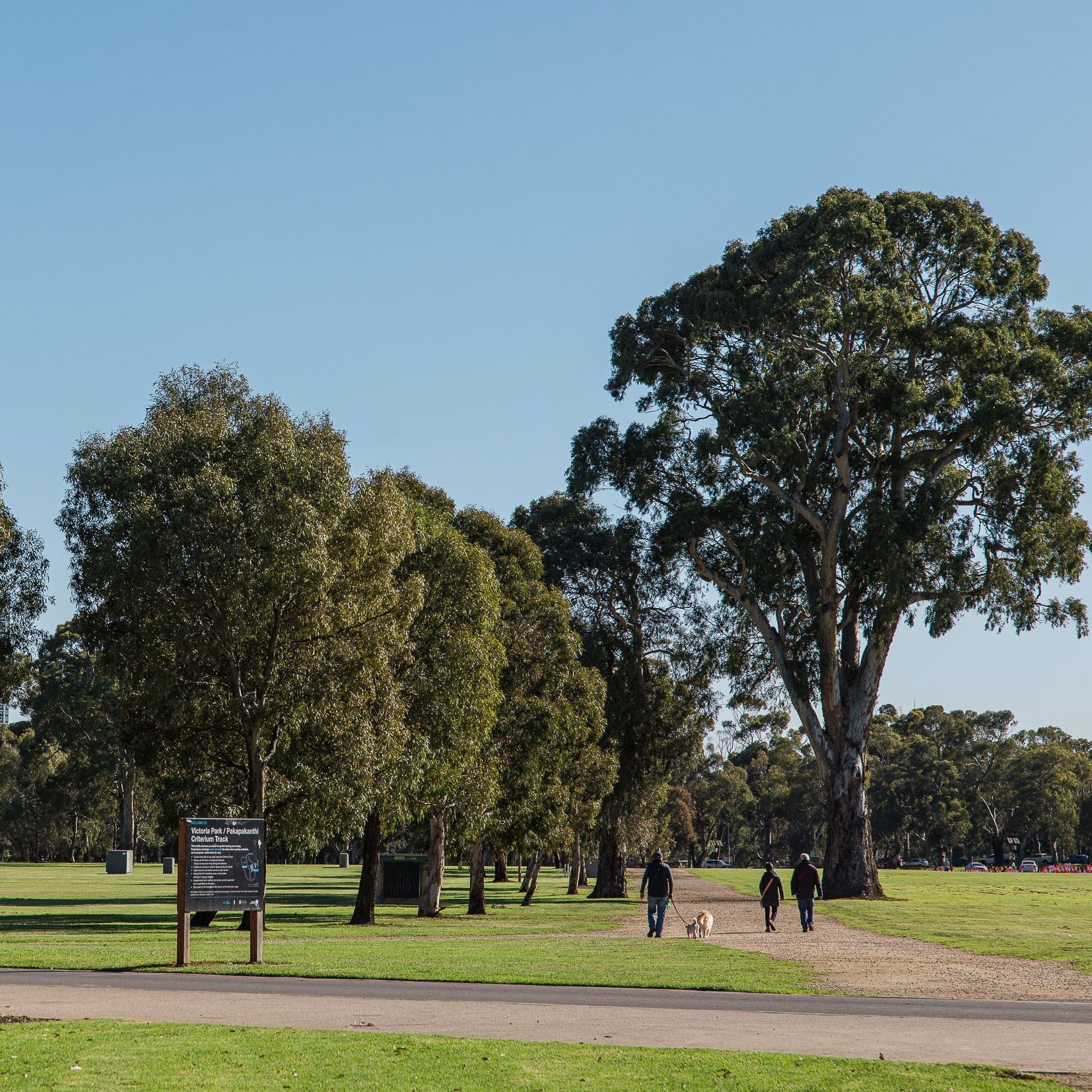 Victoria Park Pakapakanthi Park 16 12