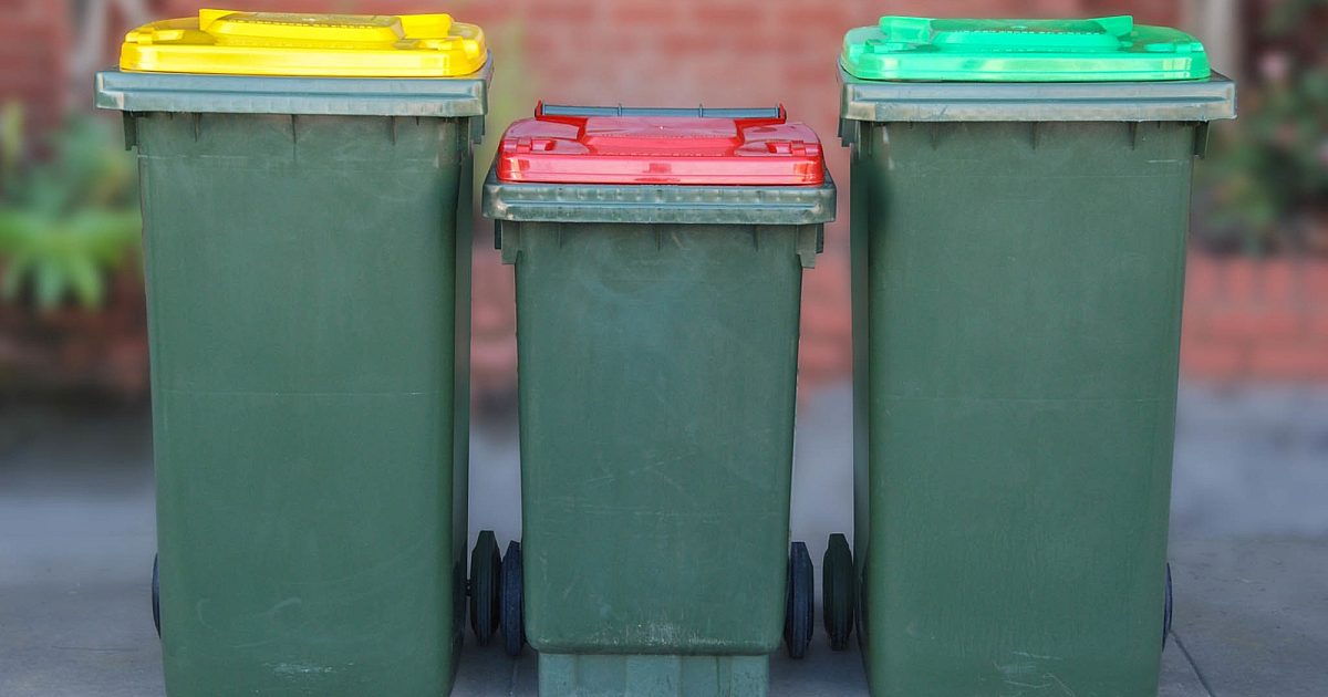 Bin collection day checker City of Adelaide