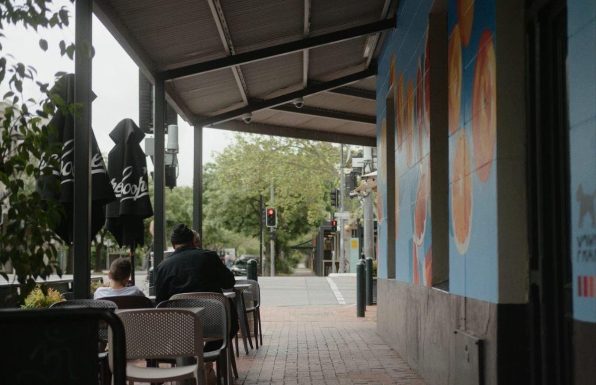 City Yarns Arab Steed