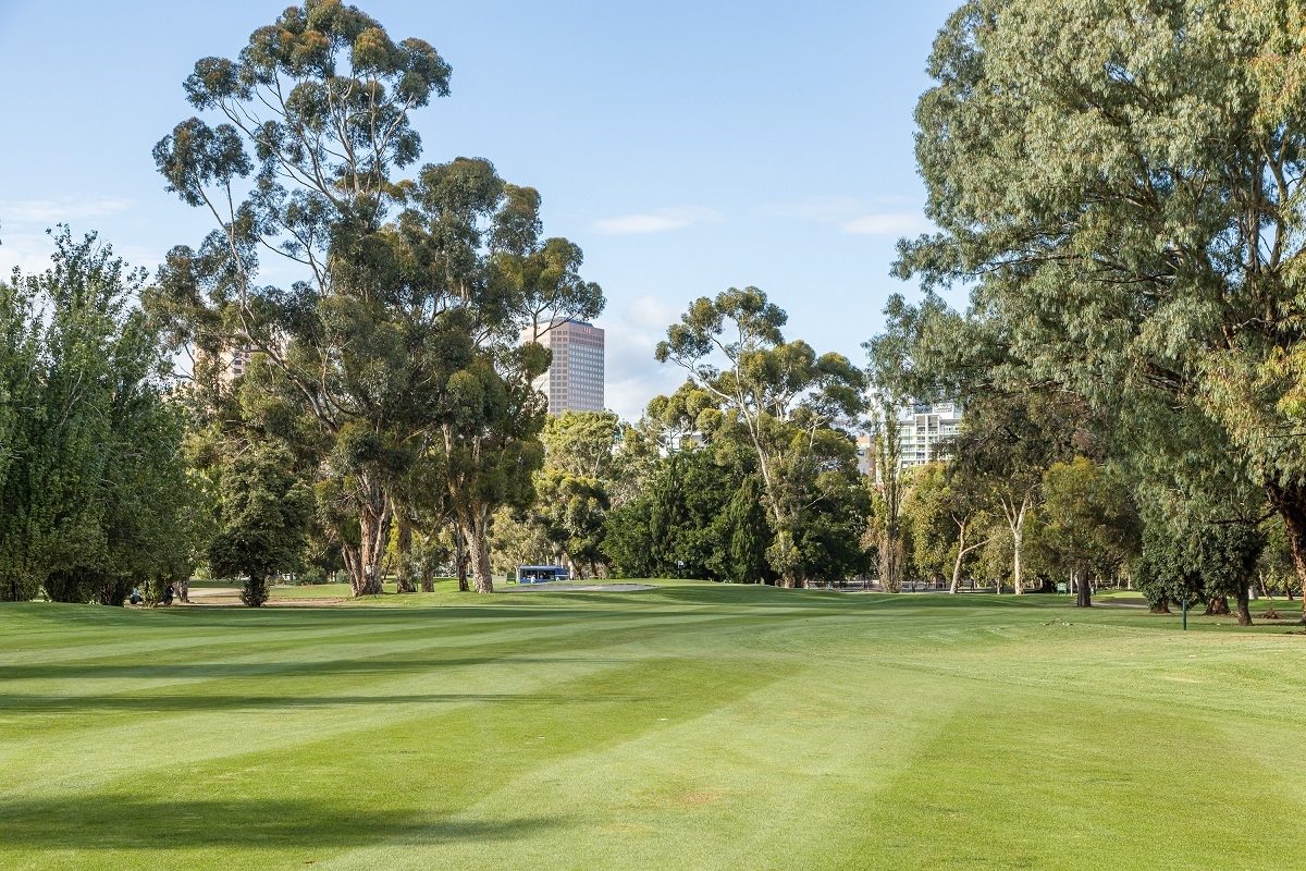 L Ms Golf Day 1200px