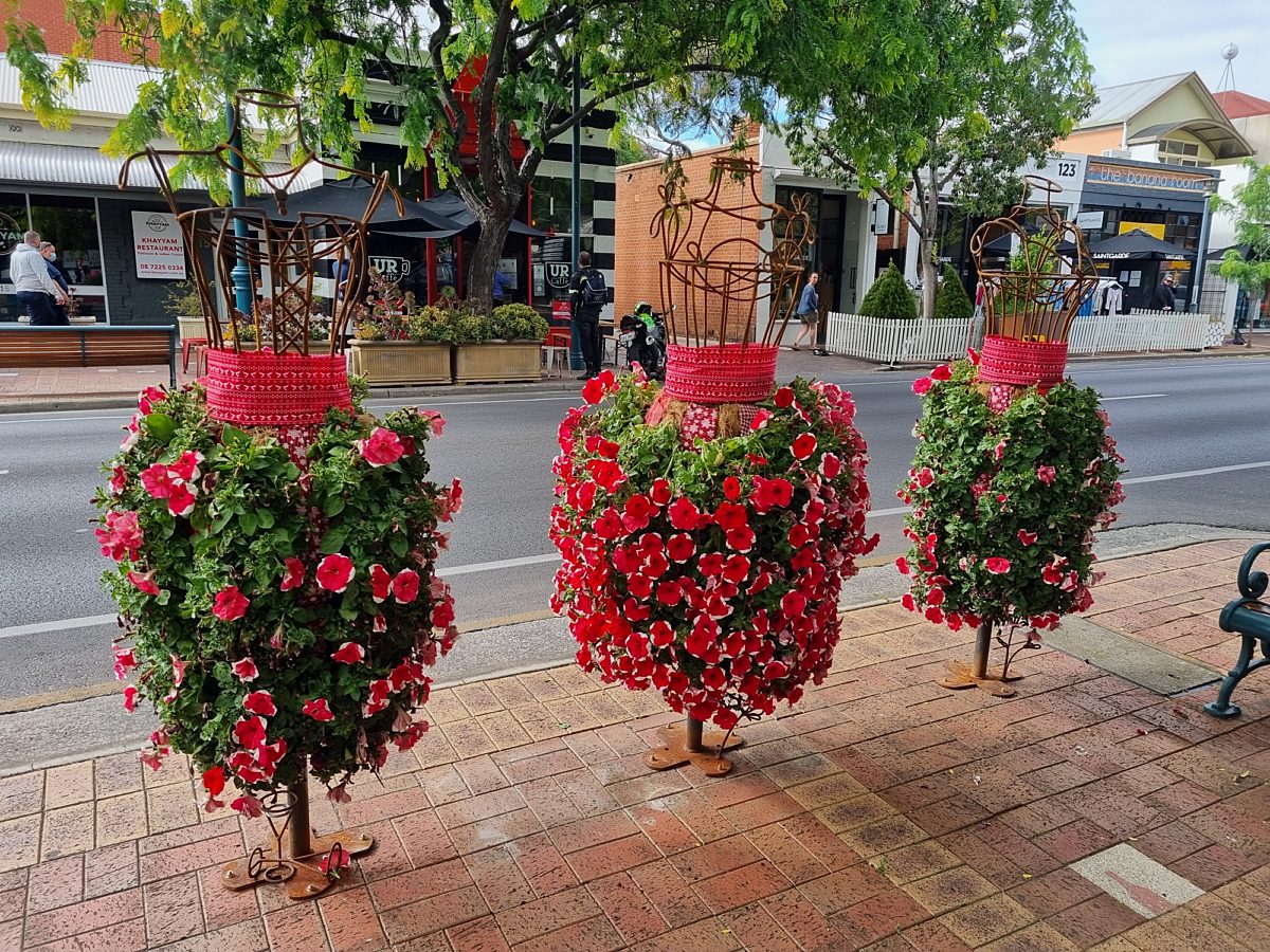 Christmas petunias 2