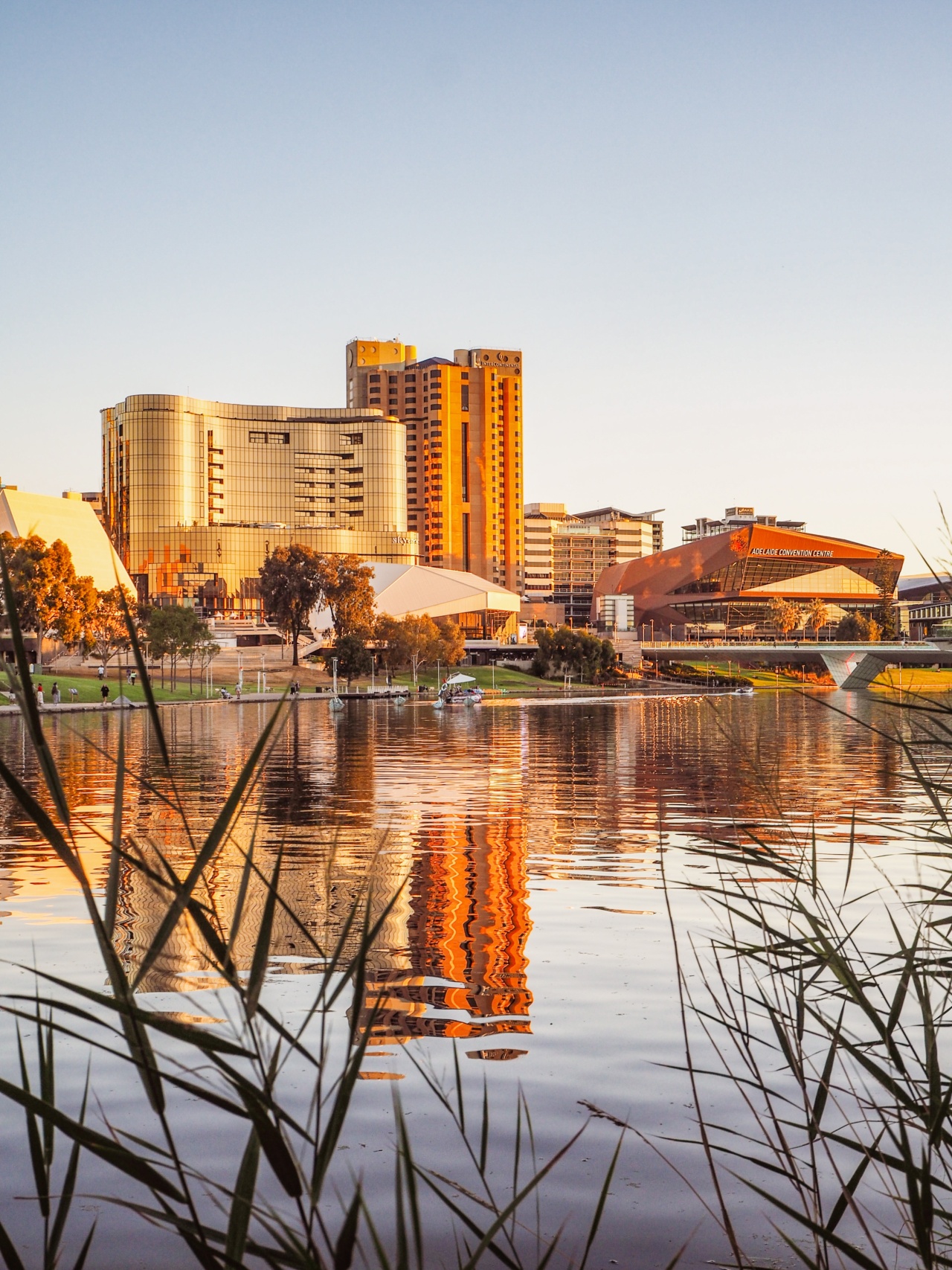 How can global business connections create opportunities for Adelaide?