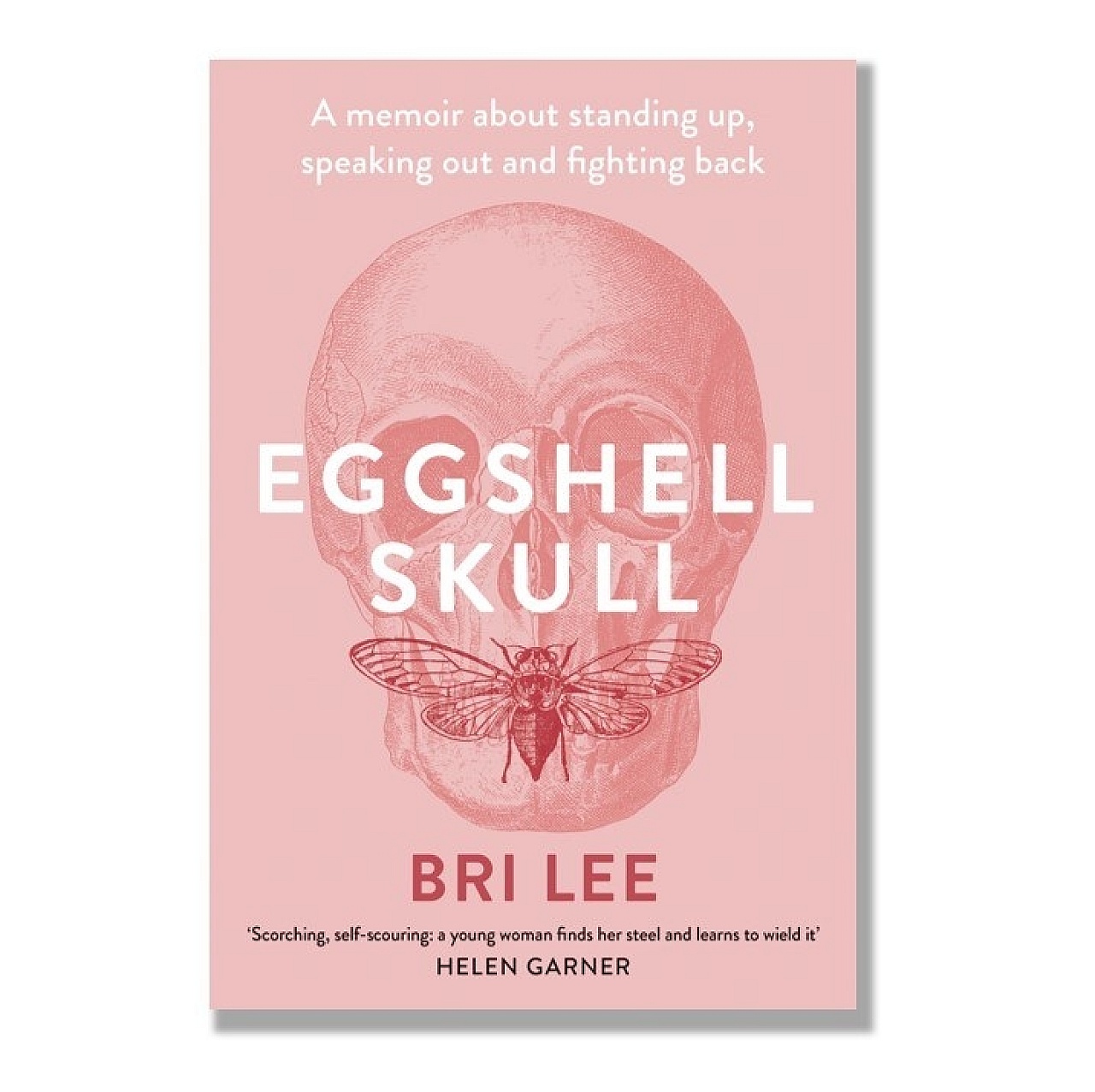 Eggshell skull