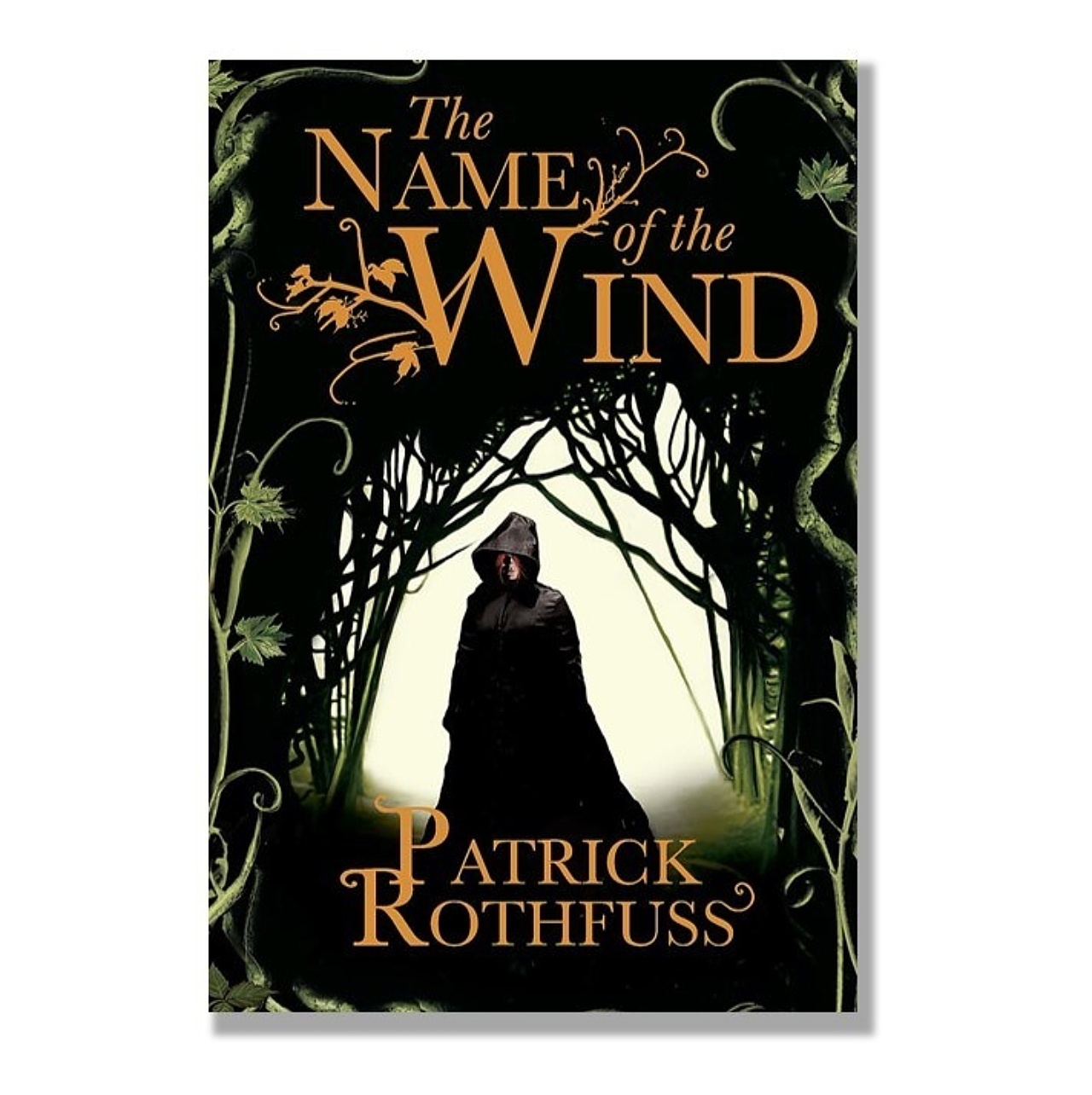 Kingkiller chronicles