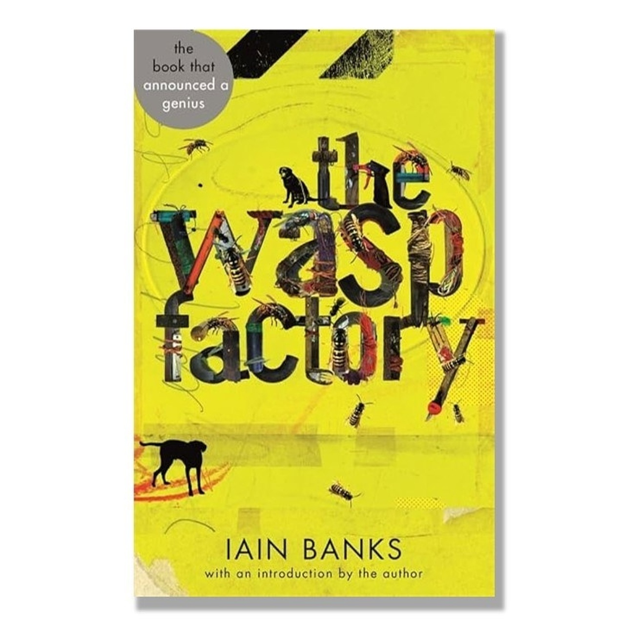 The wasp factory