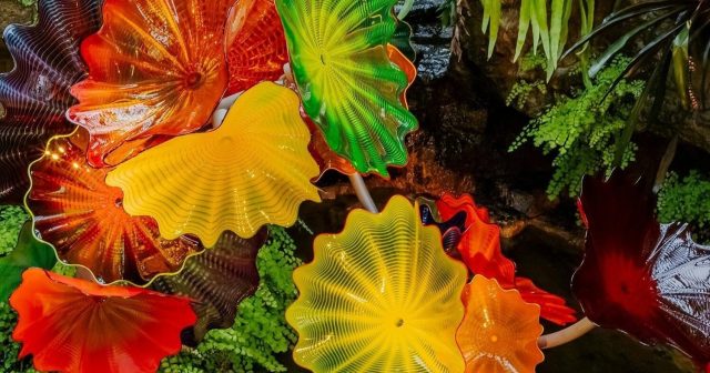 Have Your Say: Chihuly