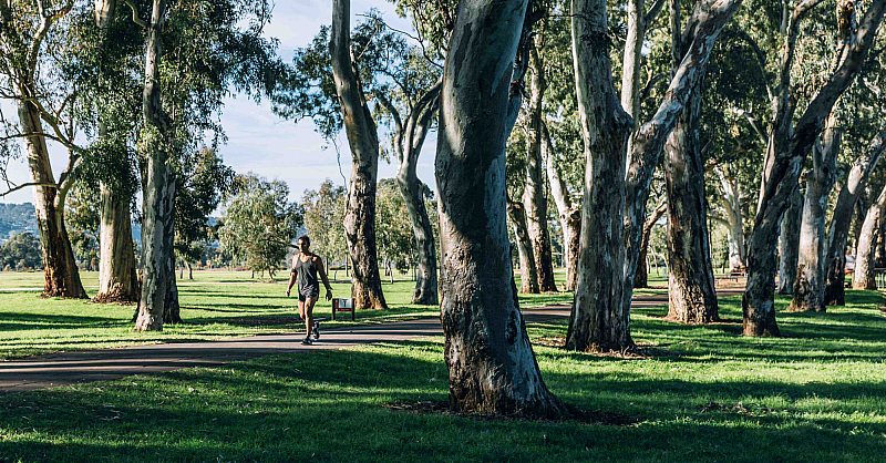 Adelaide CBD Parklands Basketball Courts