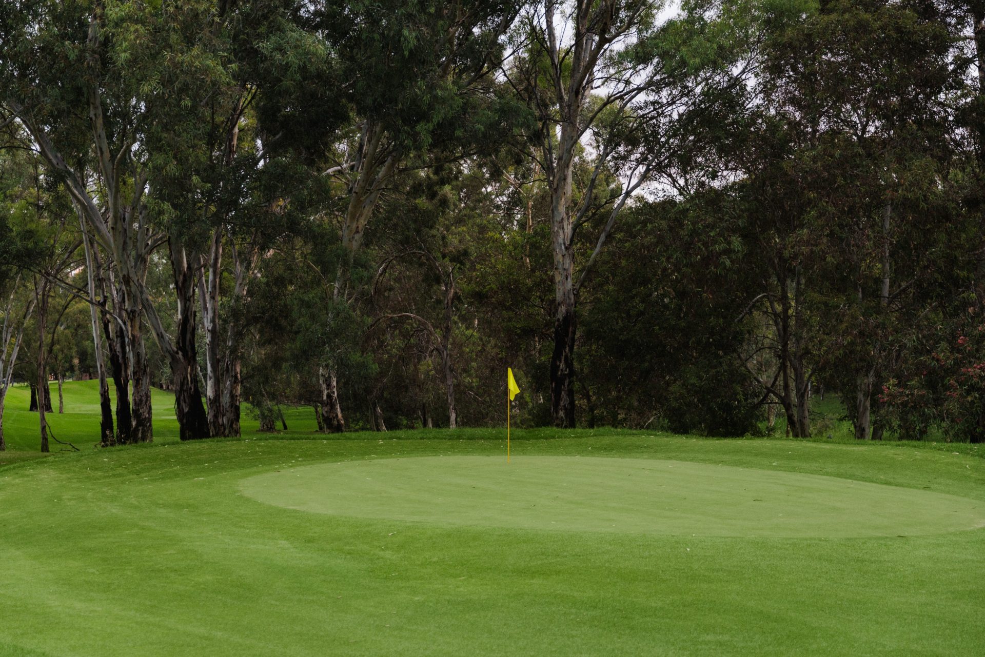 868 Brihammond golf d2 107 Low Res