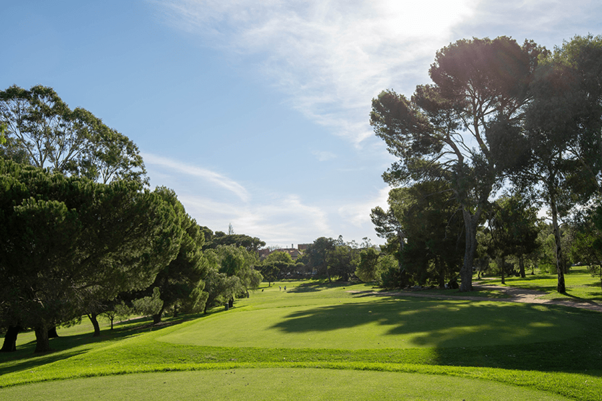 School holiday golf hero 900x600 min 1200 800 s c1 smart