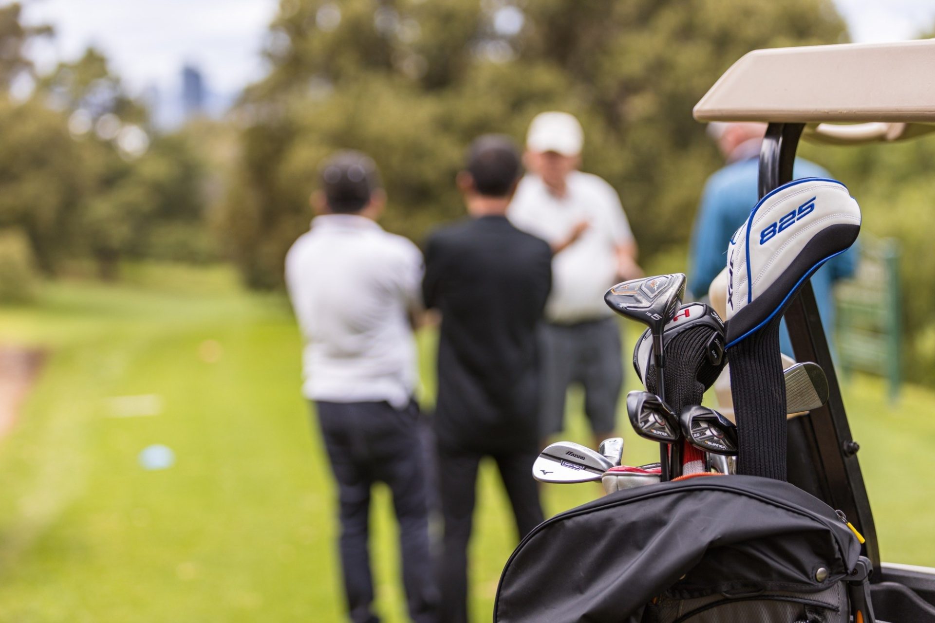 301295767 2110757322441143 8073460345401441510 n