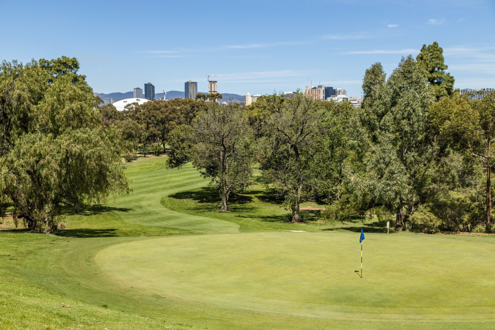 310242332 2142540595929482 8327535094050851410 n