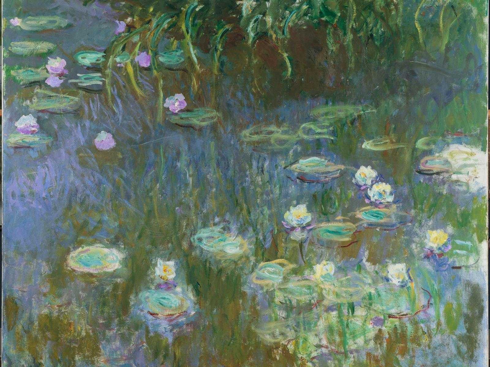 Monet water lilies agsa