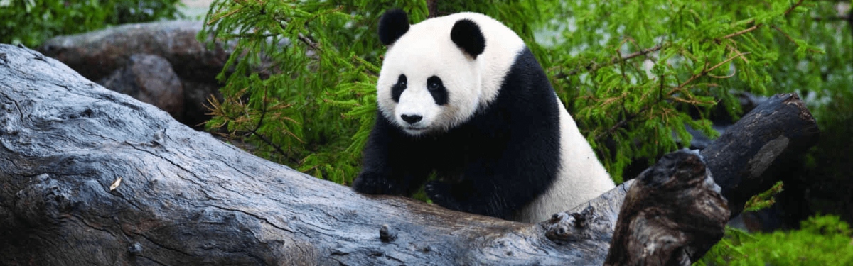 U Park Destinations adelaide zoo 1600x500 min