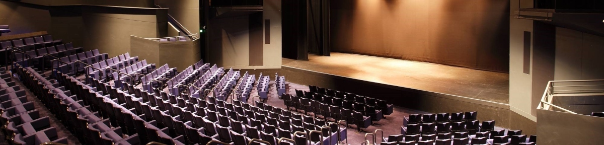 Dunstan playhouse banner2 2000