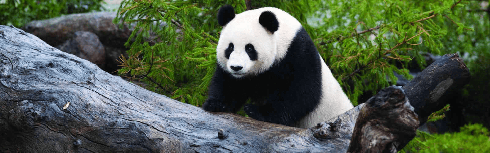 U Park Destinations adelaide zoo 1600x500 min