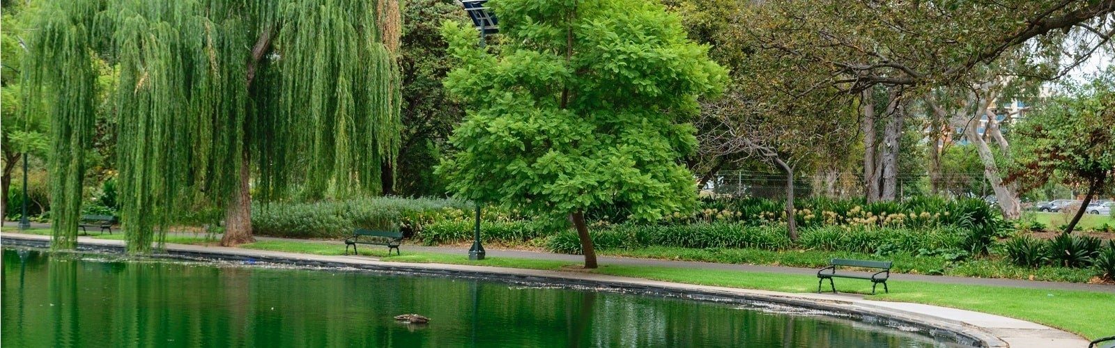 Rymill park 1600x500 min