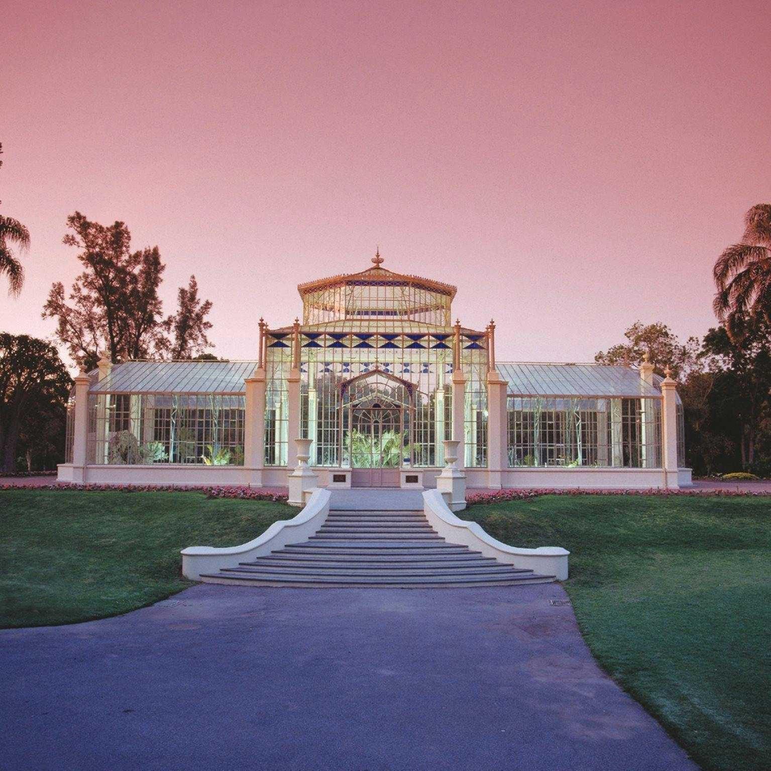 Adelaide botanic garden palm house