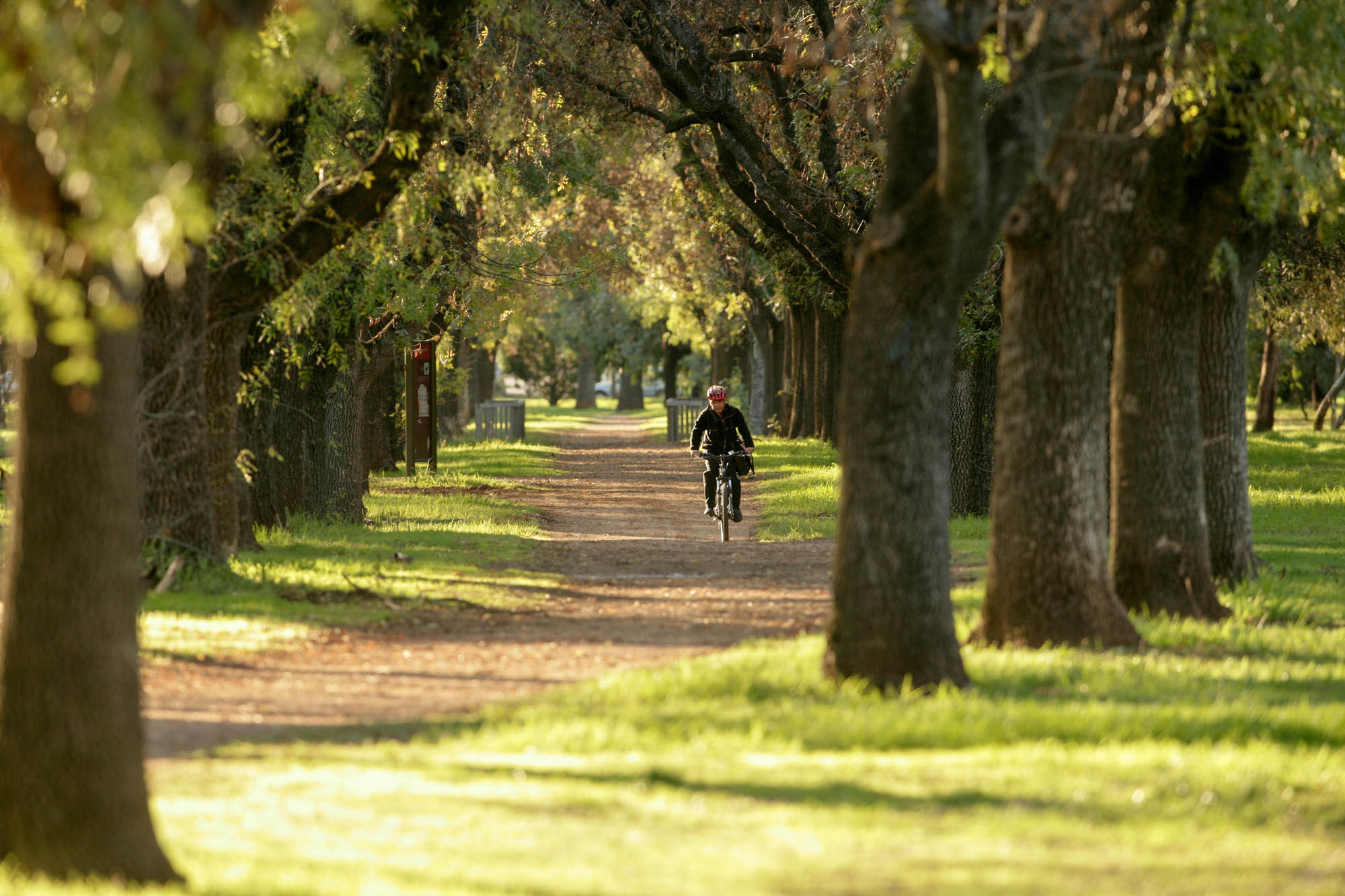 Experience Adelaide Adelaide Park Lands trail