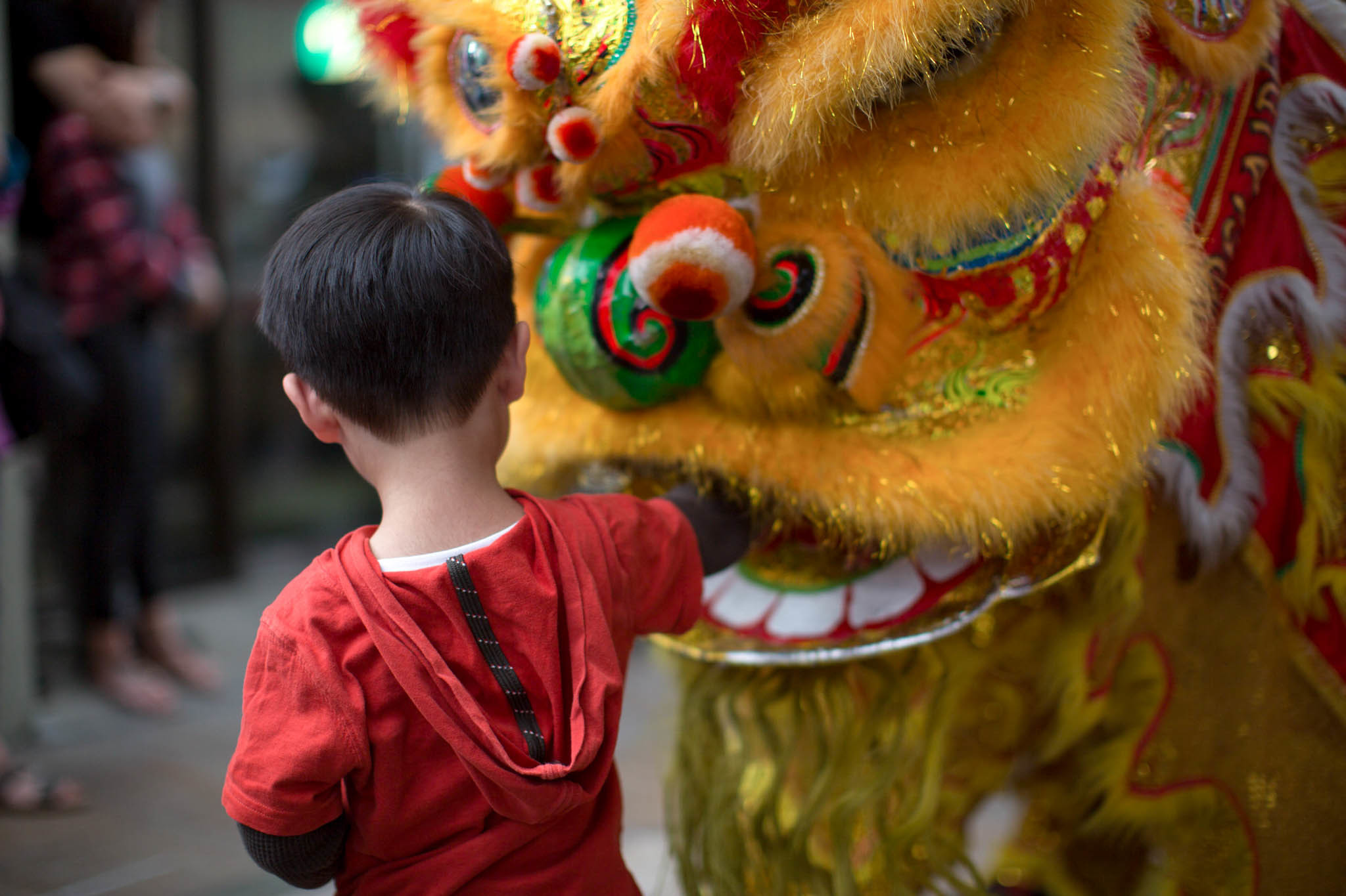 Lunar New Year Lion Dance
