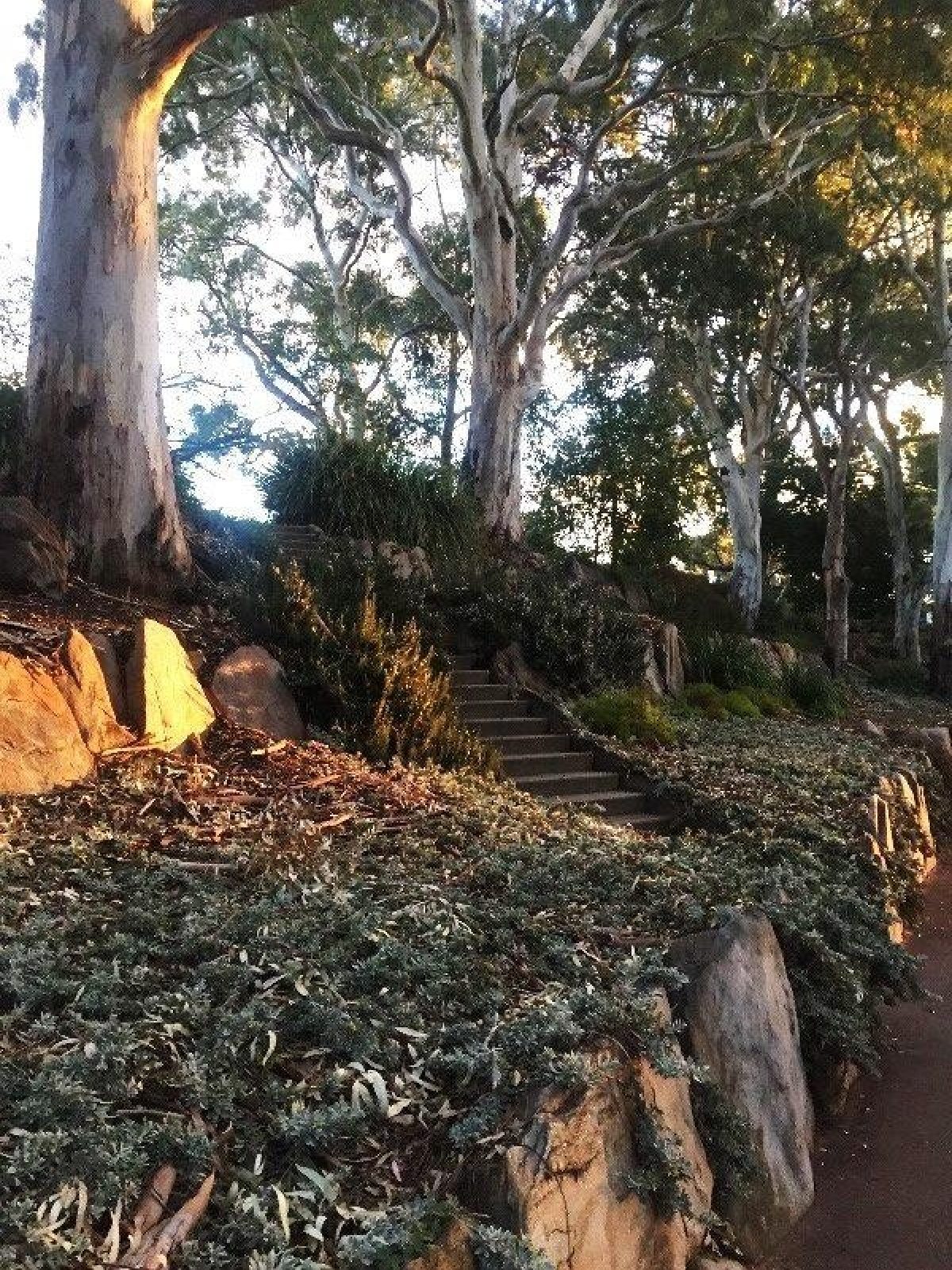 West Park Lands