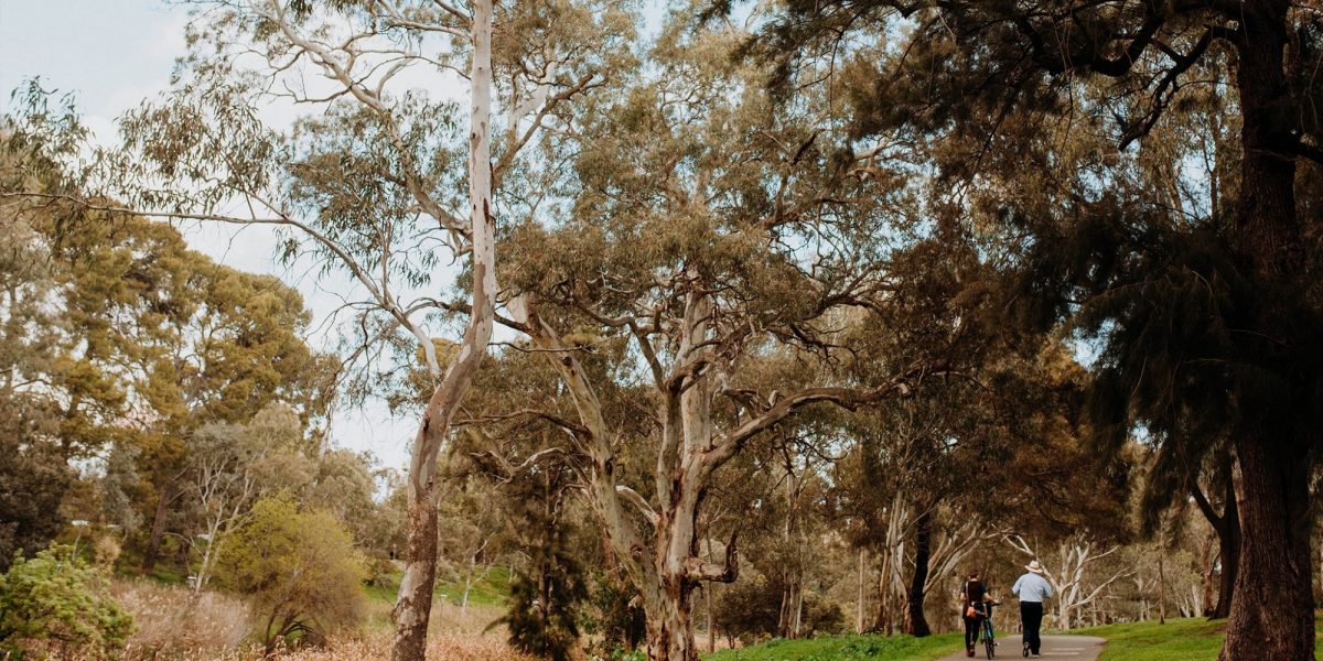 On the linear park trail