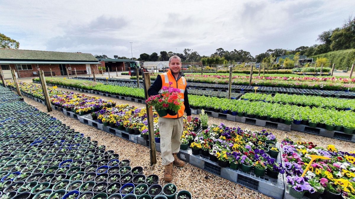 Horticulture darren