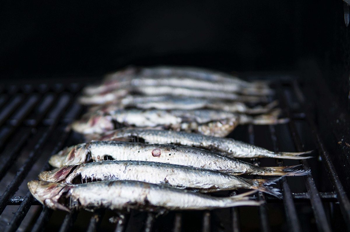 Sardines on grill