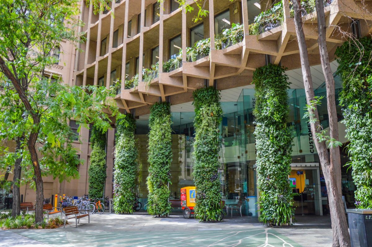 Clc pirie street green wall