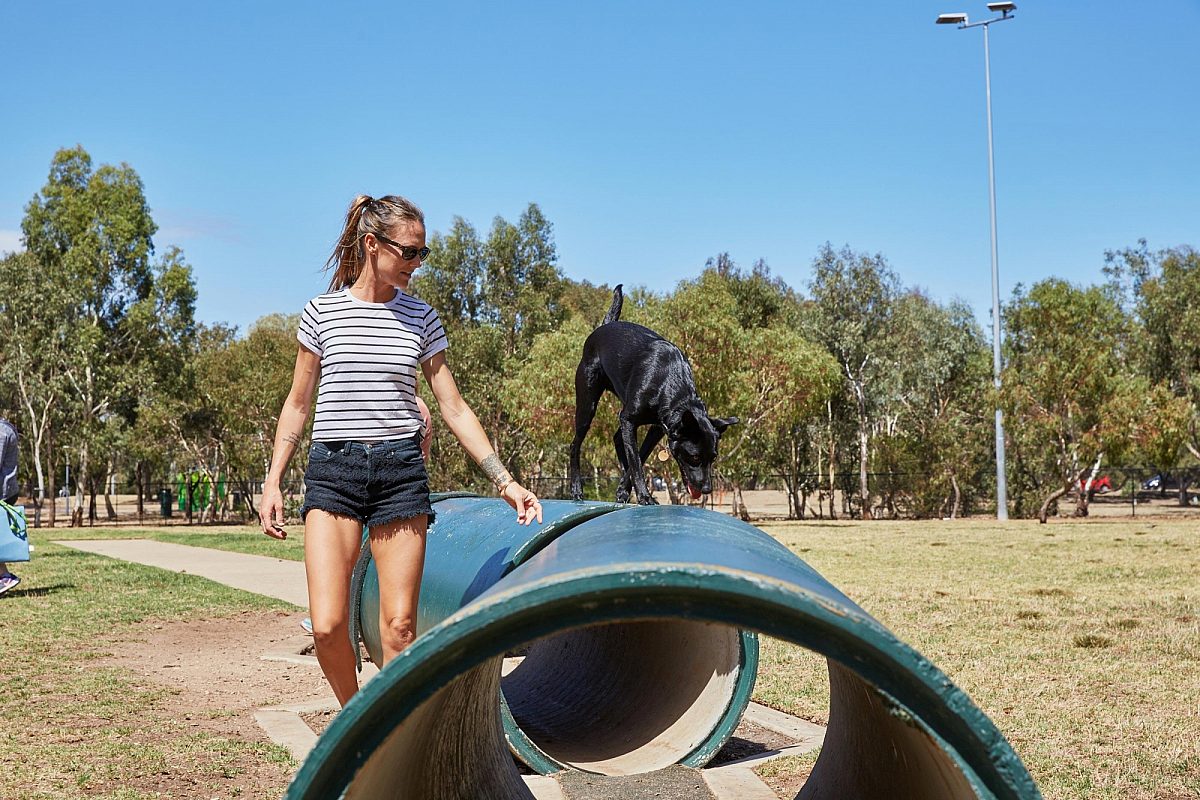 Girl in city dog park with dog photo ryan cantwell