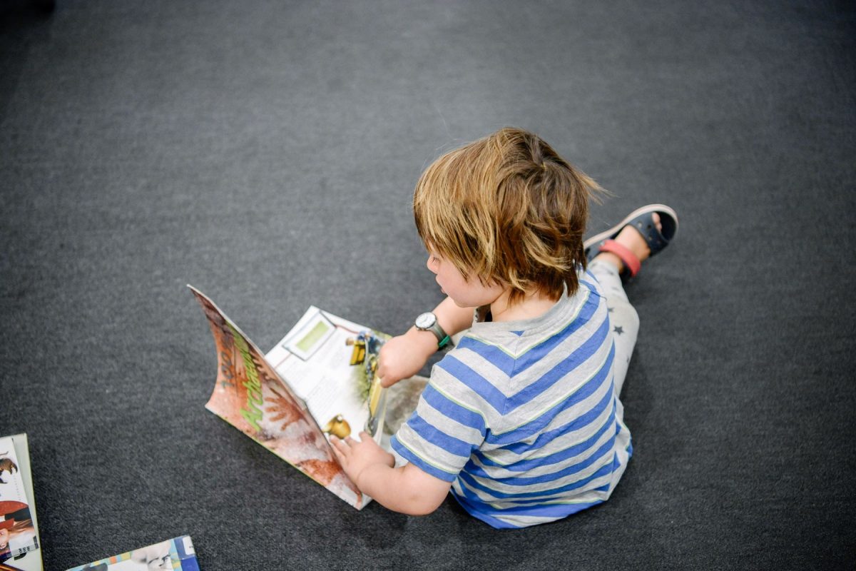 Small boy at library