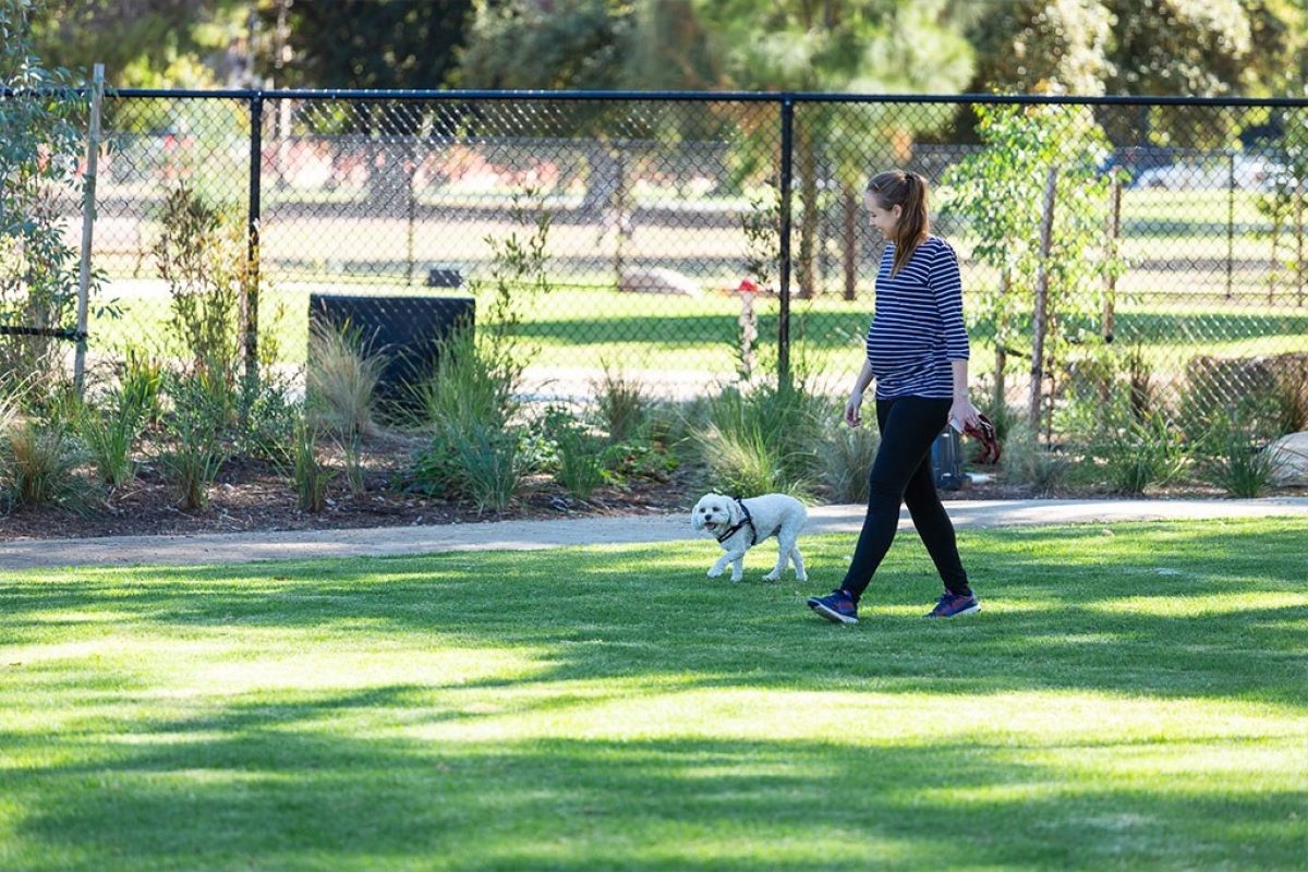 Woman walking dog in pityarilla park