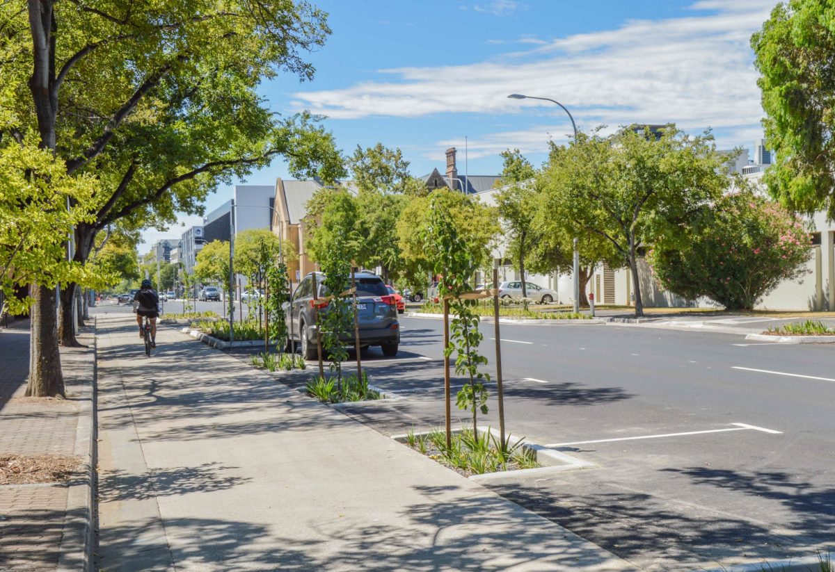 Frome Street bikeway greenery 2