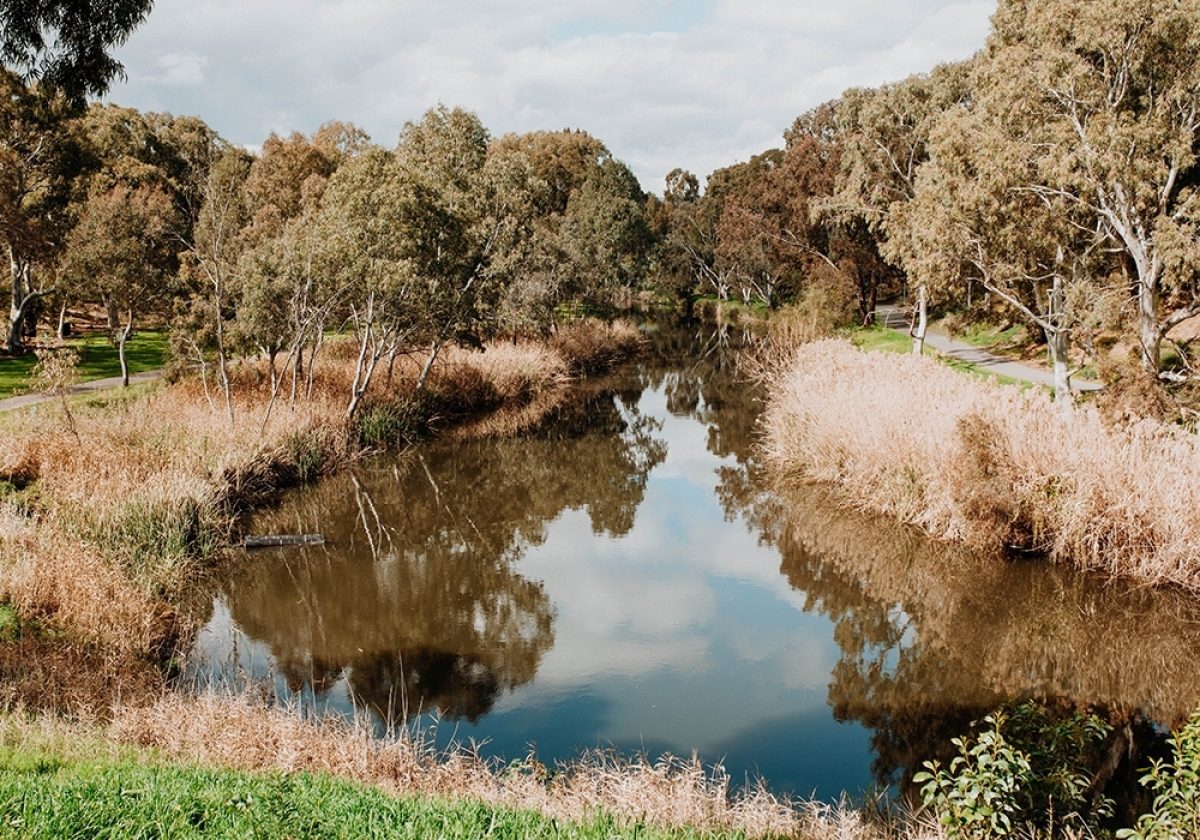 Adelaide Park Lands AL EDM
