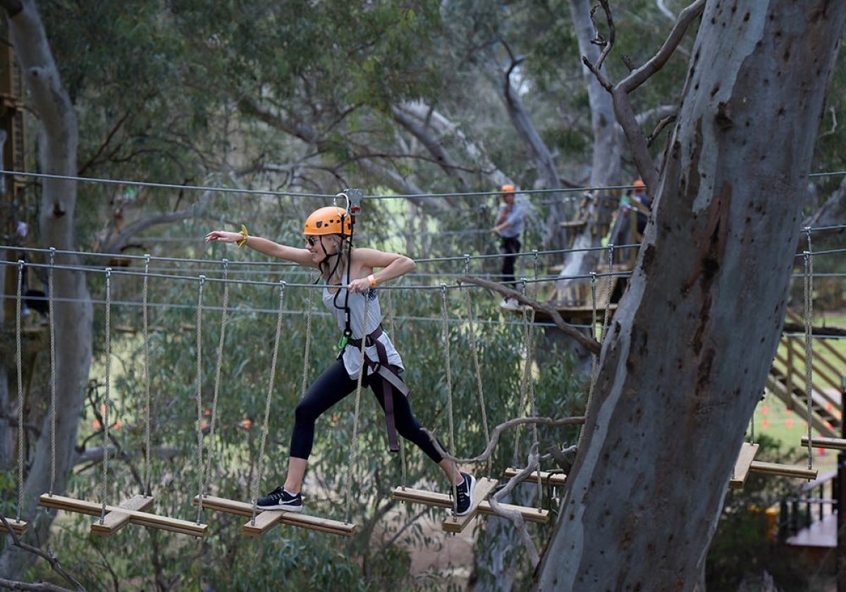 Adelaide Tree Climb adult
