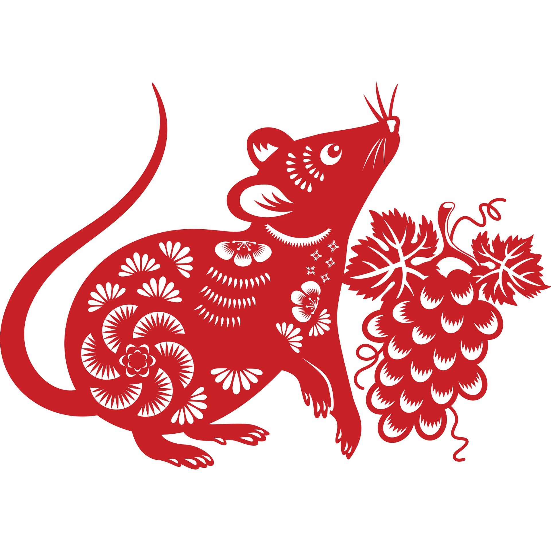 Adelaide living lunar new year 2020