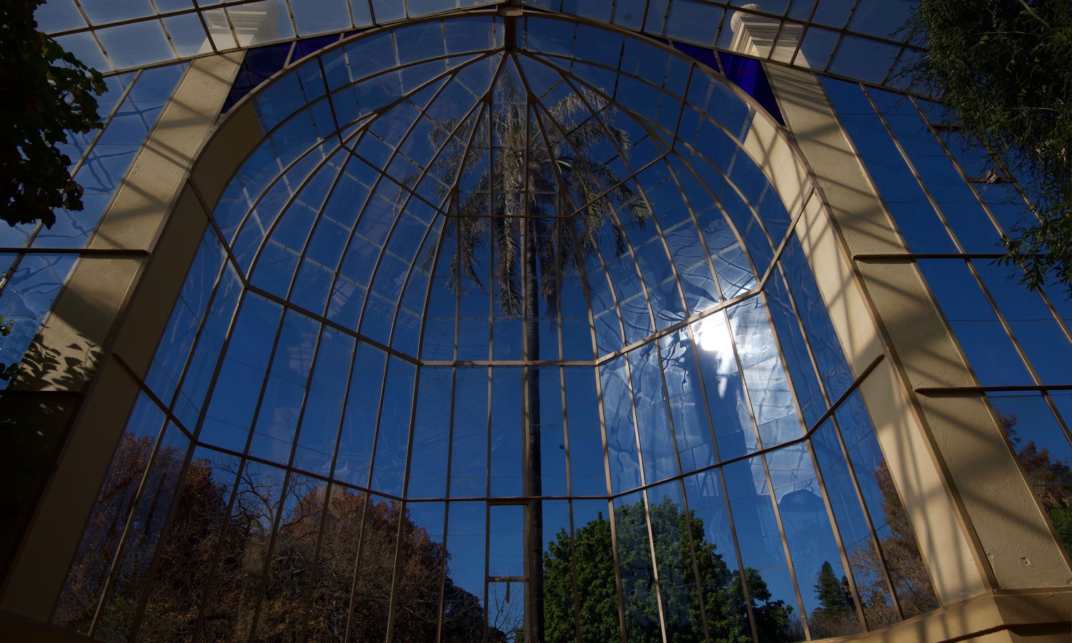 Glass panels of palm house